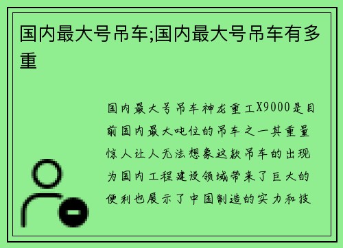 国内最大号吊车;国内最大号吊车有多重