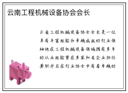 云南工程机械设备协会会长